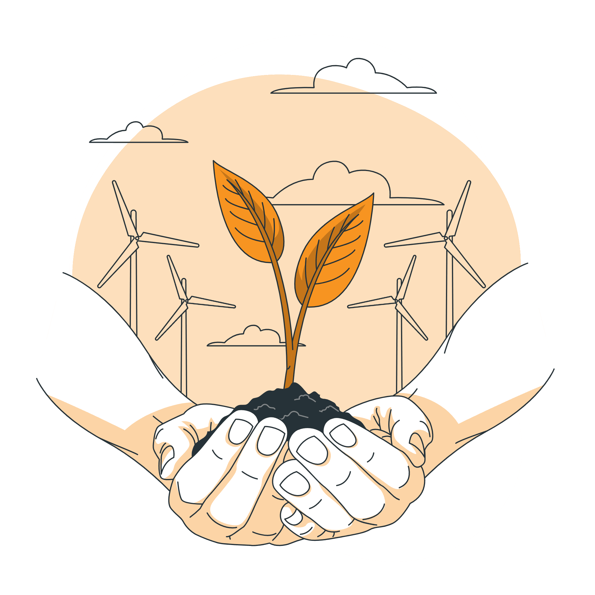 Environment-bro Our Services
